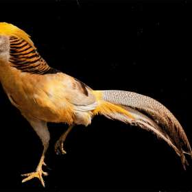 2022-POTM-Winners-02