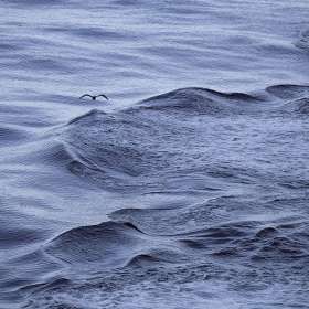 2022-POTM-Winners-03