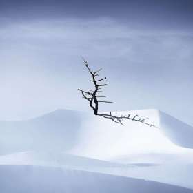 2022-POTM-Winners-04