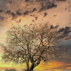 2022-POTM-Winners-16