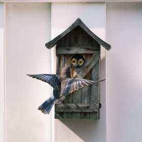 2022-POTM-Winners-19