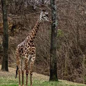 2022-POTM-Winners-20