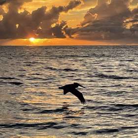 2022-POTM-Winners-22