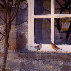 2022-POTM-Winners-29