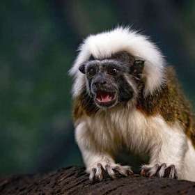 Gina-Fitzhugh-Anger-1st-Place-April