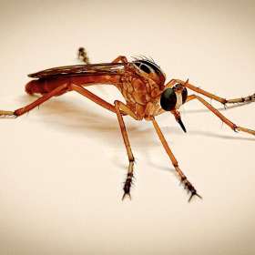 Martin-Cregg-Open-1st-Place-February