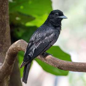 BPG-POTM-0715-Open-2