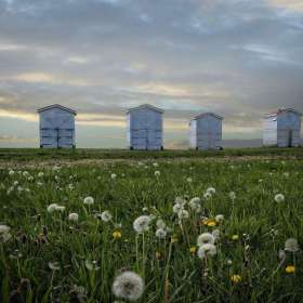 BPG-POTM-0715-Open-3