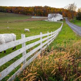 Diane-Burgett-Fences-1st-Place-May