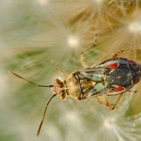 John-Thomas-Delucate-2nd-Place-November