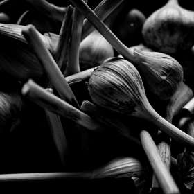 Rick-Borchert-Piles-of-Things-2nd-Place-October