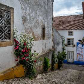 Lyra-Hankins-Open-1st-Place-September