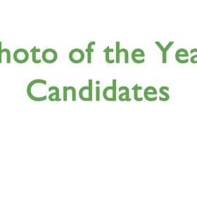 2023 POTY Candidates