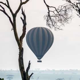 Lois-Frost-Balloons-Jt-1st-Place-January