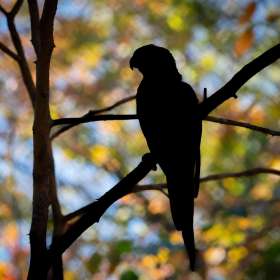 Diane-Burgett-Nashville-Zoo-Outing-2