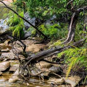 Frank-Geiger-Long-Hunter-State-Park-October-Outing-1