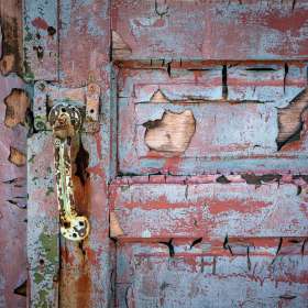 Diane-Burgett-Handles-2nd-Place-August 2024 POM