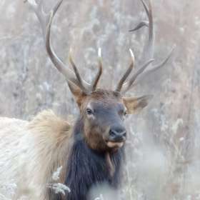 2024 POTM - February