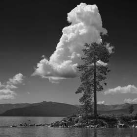 Scott-Oberle-Open-2nd-Place-February