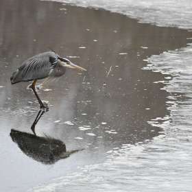 Frank-Geiger-Frozen-1st-Place-January