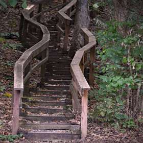 Phyllis-Tatum-Inclines-1st-Place-October