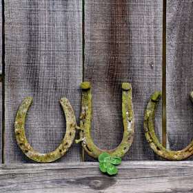 Phyllis-Tatum-Shoes-1st-Place-October