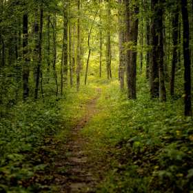 Martin-Cregg-Open-2nd-Place-Sept POM