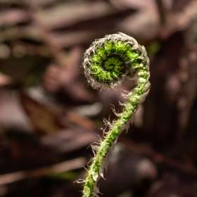 Martin Cregg - Numbers - 2nd Place - May 2024 POM