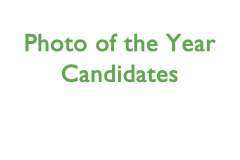 2024 POTY Candidates