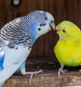 2025 July Outing - Lucky Ladd Farms