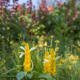 Lyra-Hankins-Cheekwood-Outing-1 JUNE 2025