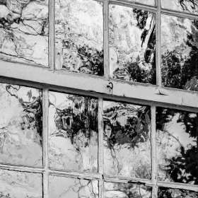 Diane-Burgett-Castalian-Springs-Wynnewood-Outing-2