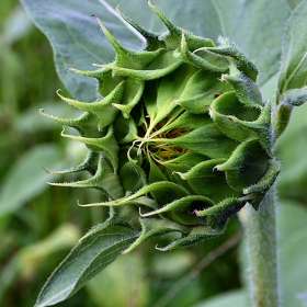 Karen-Baker-Open-1st-Place-August-2025