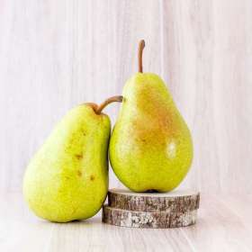 2025 POTM - February