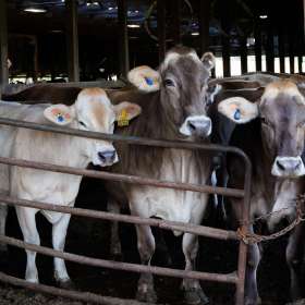 Elizabeth-Stead-Gates-2nd-Place-June 2025