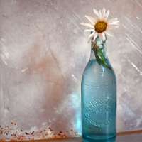 2025 POTM - November