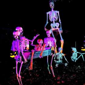 Stephen-Kent-Decorations-2nd-Place-November