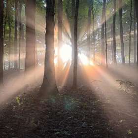 Stephen-Kent-Open-2nd-Place-October