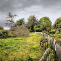 2025 POM - September