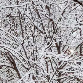 Bob-Shupe-Texture-2nd-Place-September-2025