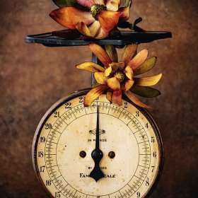 Jennifer Laverty - Open - 2nd Place - April 2026 - POTM