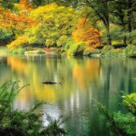 Bill-Scott-Open-2nd-Place-January POTM