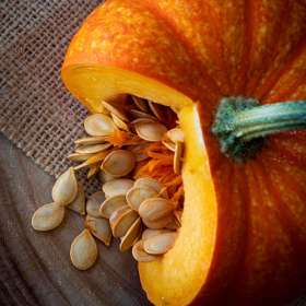Leandra Habel - food - 2nd Place - October 2026 - POTM
