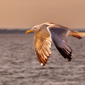 Martin-Cregg-Its-All-About-The-Light-3