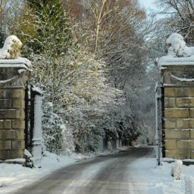 Essex Club - 36 Thorndon Park Gates