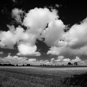 Essex Club - 48 Farmland Mountnessing