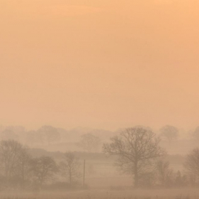 Essex Club - 49 Misty Mountnessing Sunrise
