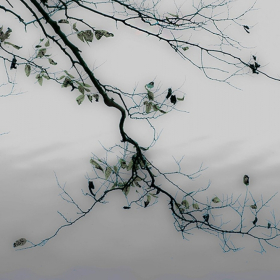 Radnor Lake Scene