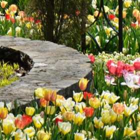 Cheekwood Botanical Gardens
