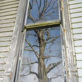 Graham_Kevin.jpg-nggid017-ngg0dyn-480x480x100-00f0w010c011r110f110r010t010